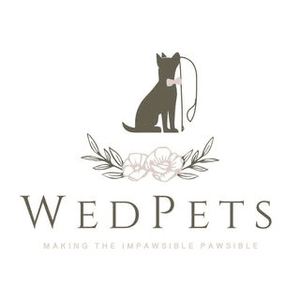 Instagram Profile Picture Of wedpets