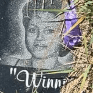 Instagram Profile Picture Of colormebrash_