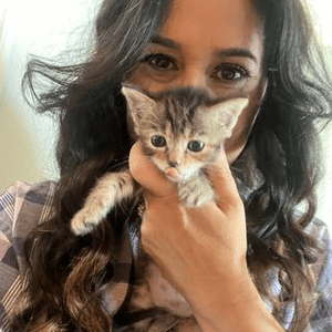 Instagram Profile Picture Of fostershomeforkittens