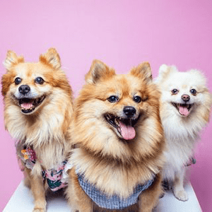 Instagram Profile Picture Of kala.terry.thepoms