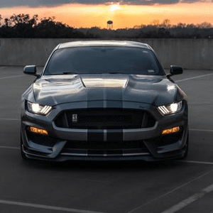 Instagram Profile Picture Of commonpony