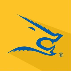 Instagram Profile Picture Of javelinanation