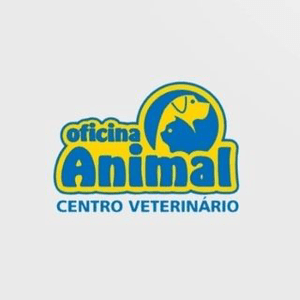 Instagram Profile Picture Of oficinaanimal