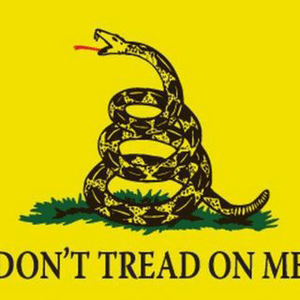 Instagram Profile Picture Of lucasjrobak