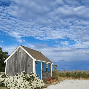 Instagram Profile Picture Of visitcapecod