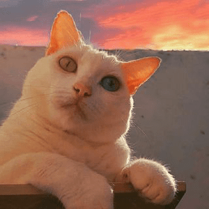 Instagram Profile Picture Of lanaagatinha