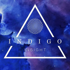 Instagram Profile Picture Of indigoinsight