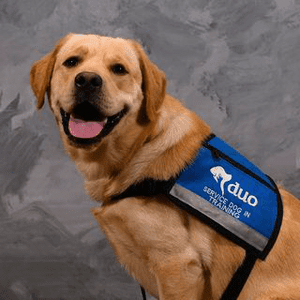 Instagram Profile Picture Of stlbluespup