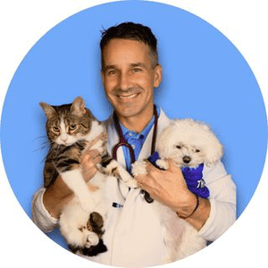 Instagram Profile Picture Of dr.mattmcglasson